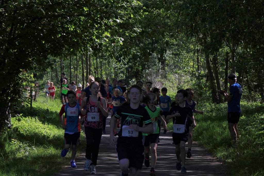 X-EWL2018-0225.JPG